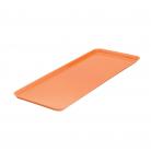 Orange Rectangular Platter 500mm x 180mm